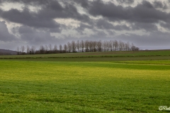 Matagne-la-petite-51