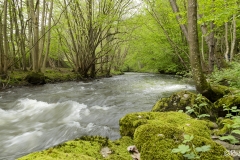 Landrichamps-France-07-042024