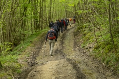 Landrichamps-France-09-042024