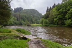 Bouillon_019_202405