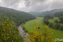 Bouillon_023_202405