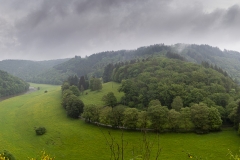 Bouillon_025_202405