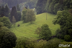 Bouillon_026_202405