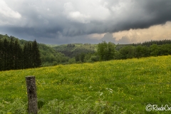 Bouillon_051_202405