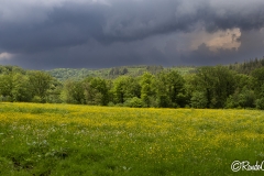 Bouillon_053_202405