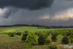 Bouillon_061_202405