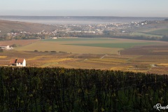 Champagne-Epernay-Monthelon-5