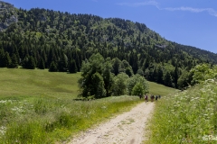 Vercors-La-plaine-dHerbouilly-et-le-Pas-de-la-Sambue-32