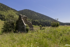 Vercors-La-plaine-dHerbouilly-et-le-Pas-de-la-Sambue-42