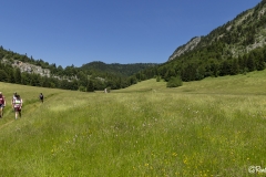 Vercors-La-plaine-dHerbouilly-et-le-Pas-de-la-Sambue-44