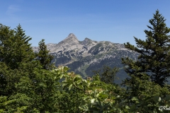 Vercors-La-plaine-dHerbouilly-et-le-Pas-de-la-Sambue-52