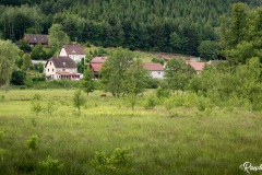 Vosges-du-Nord-Baerenthal-3
