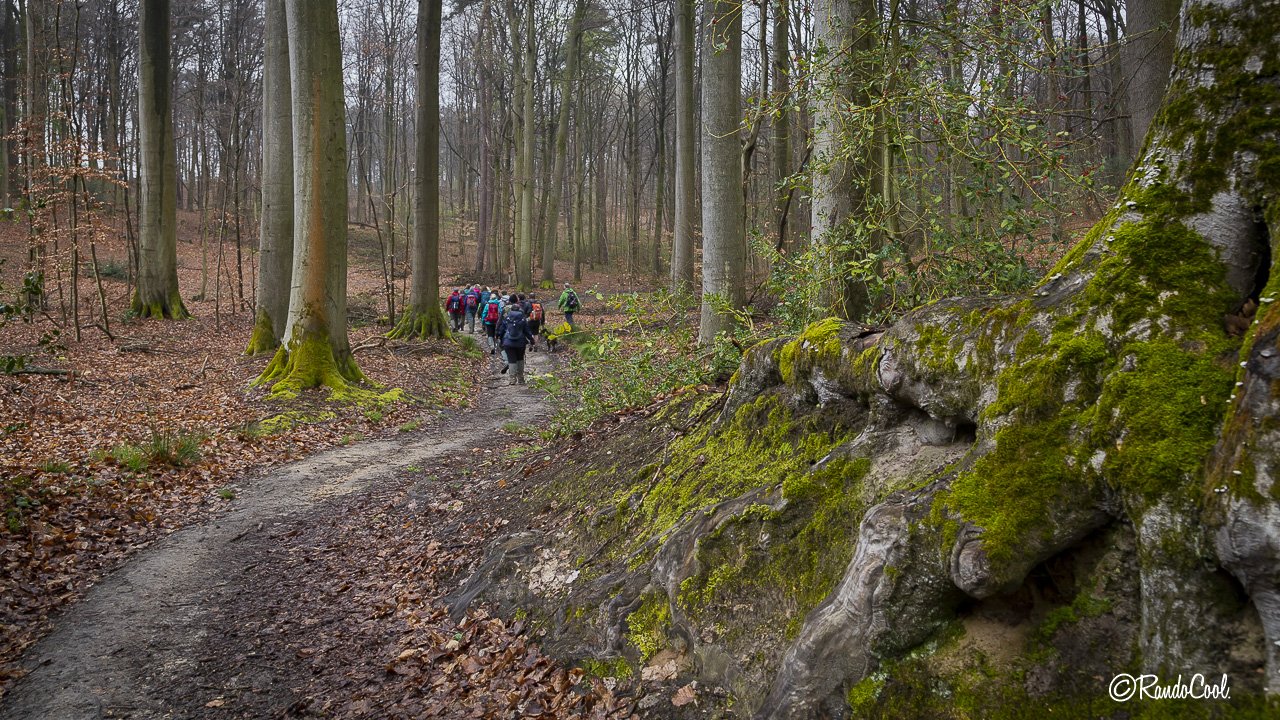 Forêt De Meerdael-32