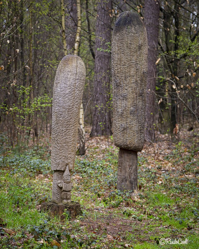 Forêt De Meerdael-41