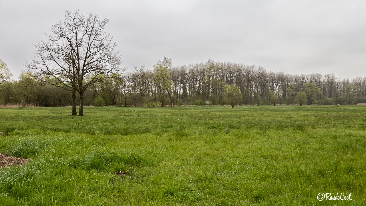 Forêt De Meerdael-50